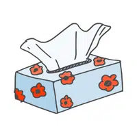 House items Vocabulary Words | Tissue box in English