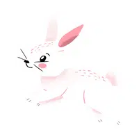 Name of Animals in English |Rabbit in English