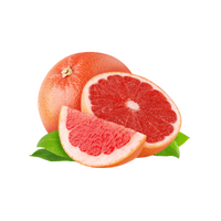 Fruits Vocabulary words | Grapefruit in English