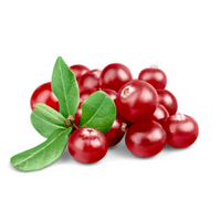 Fruits Vocabulary words | Cranberry in English