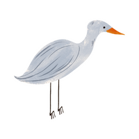 Birds Name in English | Egret in English 
