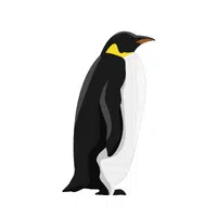 Name of Animals in English | Penguin in English