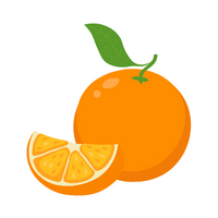 Fruits Vocabulary words | Orange in English