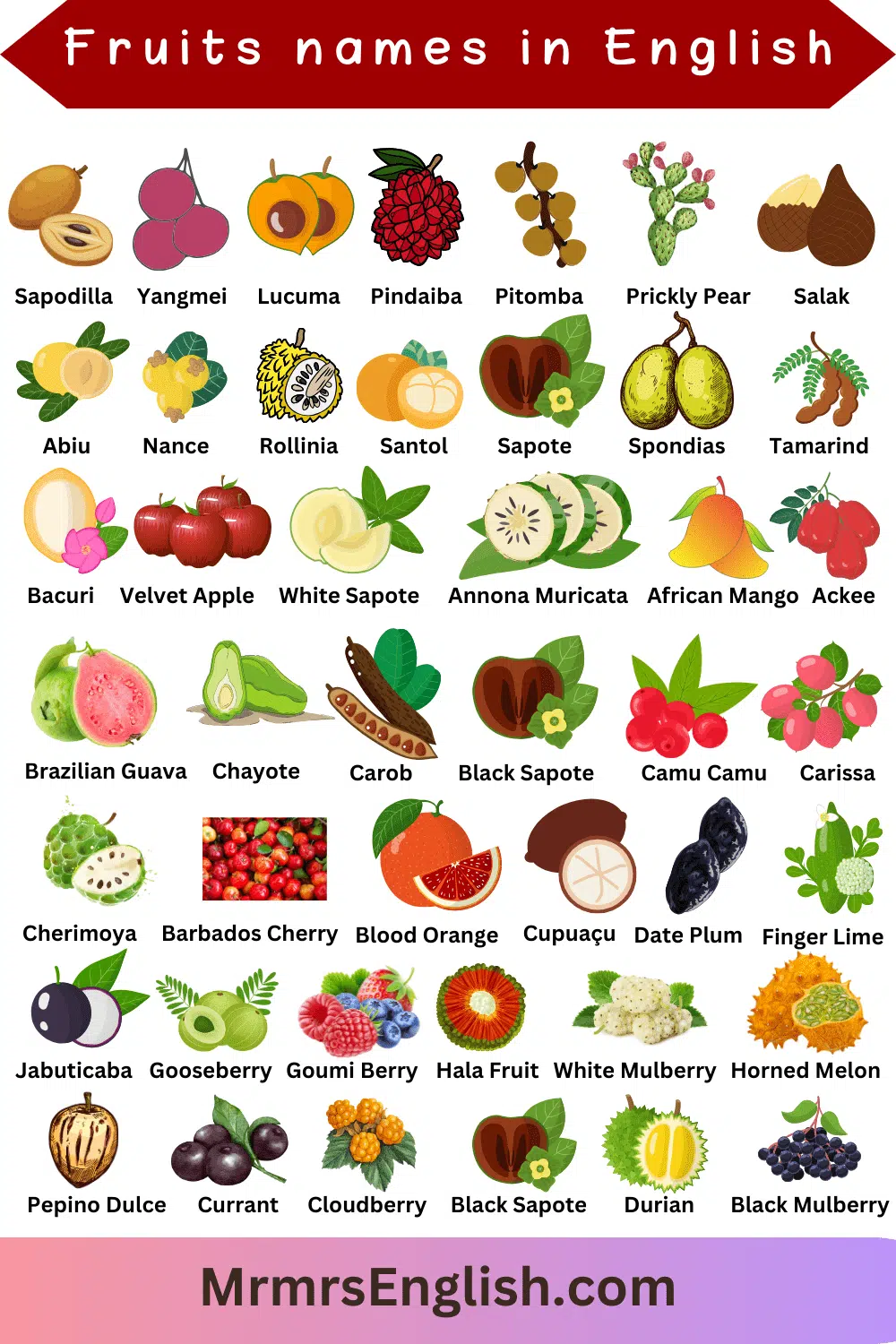 Fruits Vocabulary words in English