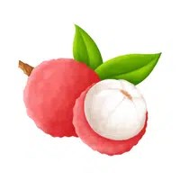 Fruits Vocabulary words | Lychee in English