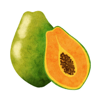 Fruits Vocabulary words | Papaya in English