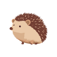 Pets Animal Name | Hedgehog in English