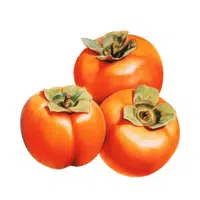 Fruits Vocabulary words | Persimmon in English