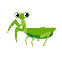 Name of Animals in English | Mantis in English