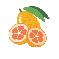 Fruits Vocabulary words | Kumquat in English