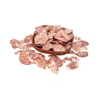 Areca nuts in English