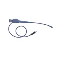 Endoscope in English