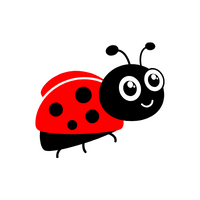 Name of Animals in English | Ladybug in English