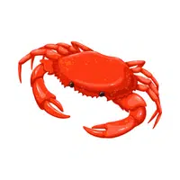 Name of Animals in English |Crab in English