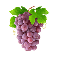 Fruits Vocabulary words | Grapes in English
