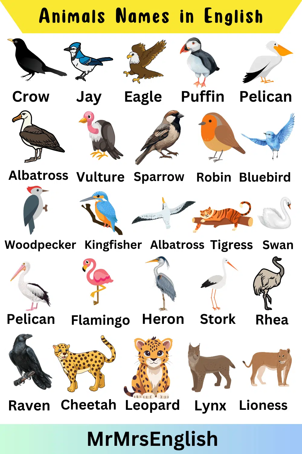 Name of Animals in English 