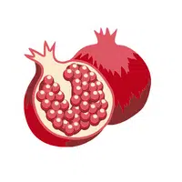 Dry Fruits Name | Pomegranate Seeds in English