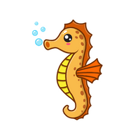 Name of Animals in English | Seahorse in English