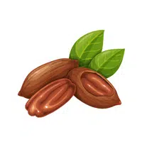  Tiger nuts in English