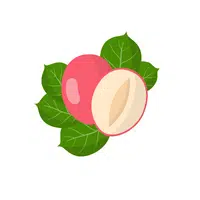 Fruits Vocabulary words | Feijoada in English