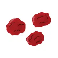 Dry Fruits Name | Cranberry raisins in English