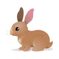 Pets Animal Name | Rabbit in English