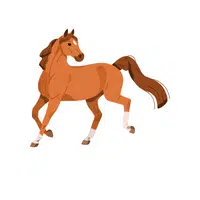 Name of Animals in English |Horse in English