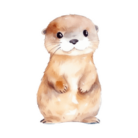 Otter in English