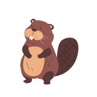Beaver in English