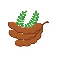 Fruits Vocabulary words | Tamarind in English