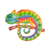 Chameleon in English