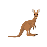 Pets Animal Name | Wallaby in English