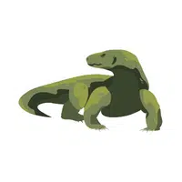 Komodo dragon in English