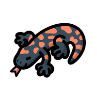 Gila monster in English