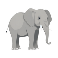 Name of Animals in English | Elephant in English
