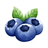 Fruits Vocabulary words | Blueberry in English