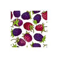 Fruits Vocabulary words | Loganberry in English