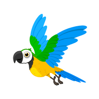 Parrot in English