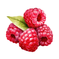 Fruits Vocabulary words | Raspberry in English