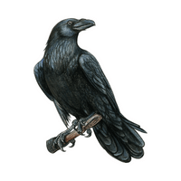 Raven in English