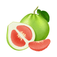 Fruits Vocabulary words | Pomelo in English