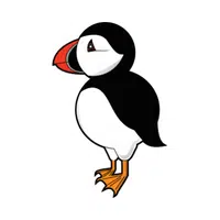 Puffin in English