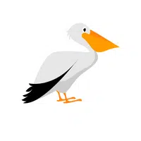Pelican in English