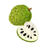 Fruits Vocabulary words | Custard Apple in English