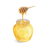 Food Vocabulary Words |Honey in English