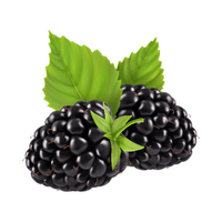 Fruits Vocabulary words | Blackberry in English