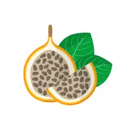 Fruits Vocabulary words | Pepion in English