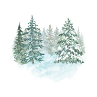 Winter Vocabulary Words |Evergreen in English