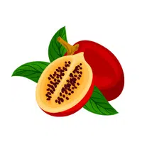 Fruits Vocabulary words | Tomatillo in English