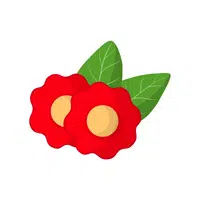 Fruits Vocabulary words | Surinam Cherry in English